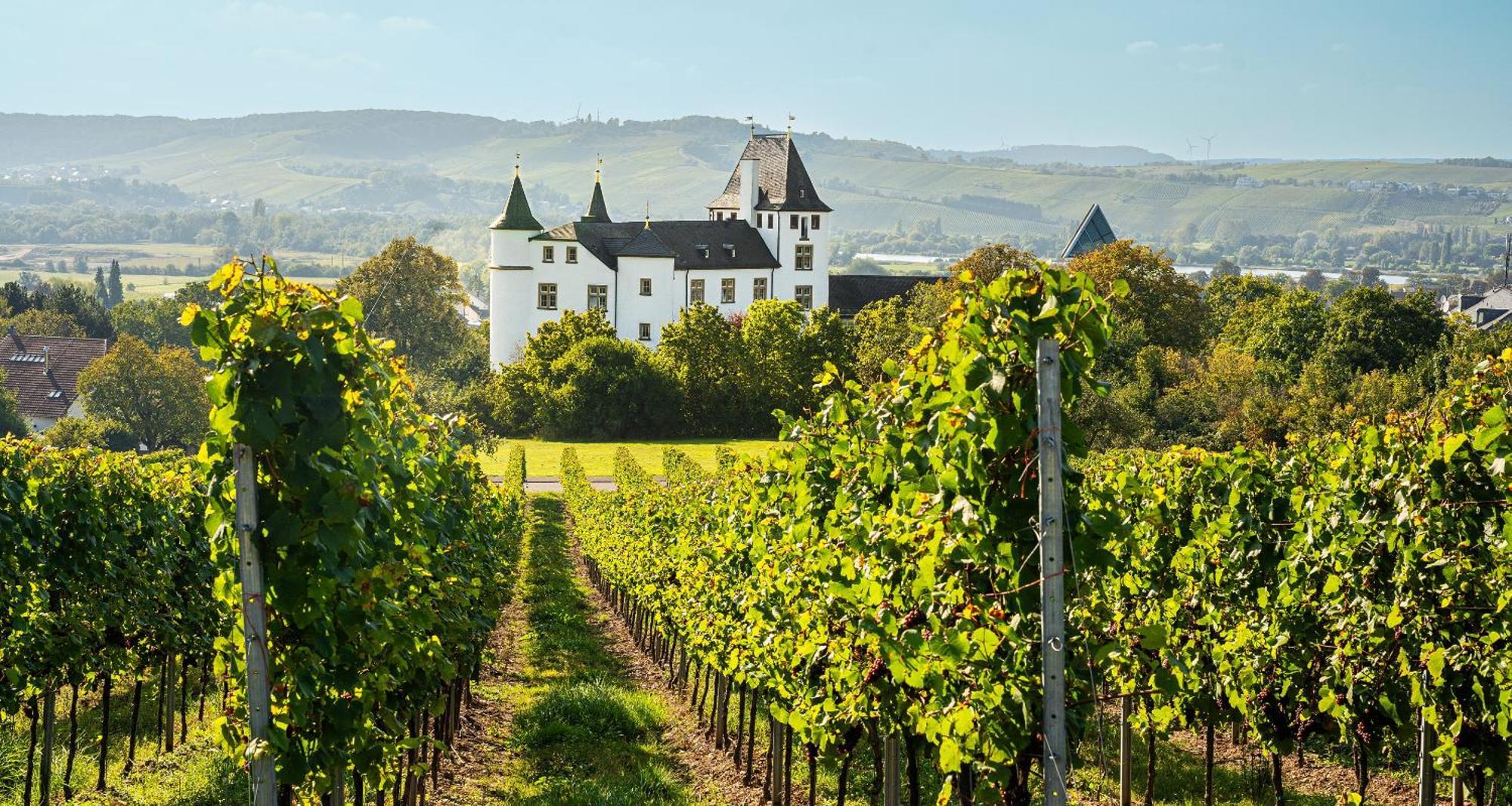 ビクターズ レジデンツ ホテル シュロス ベルグ ネニッヒ エクステリア 写真 Schloss Vollrads